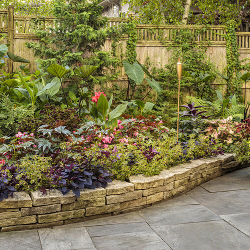 Landscape: shady_patio_garden_437.jpg