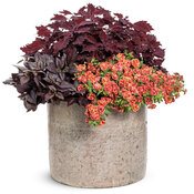 Thumbnail of Patio Container: side_hustle.jpg
