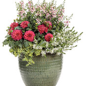 Thumbnail of Patio Container: sip_and_savor.jpg