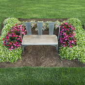 Thumbnail of Landscape: sunshade_1.jpg