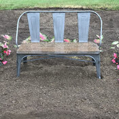 Thumbnail of Landscape: sunshade_newly_planted.jpg