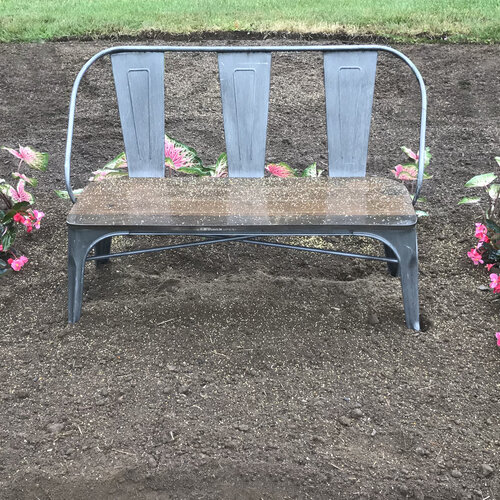 Landscape: sunshade_newly_planted.jpg