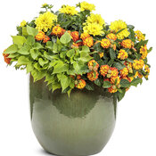 Thumbnail of Patio Container: warm_and_toasty.jpg