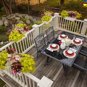 Thumbnail of Scenes: window_box_patio_53.jpg