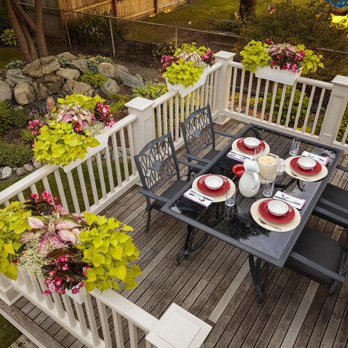 Scenes: window_box_patio_53.jpg