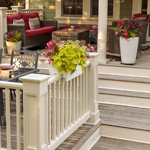 Scenes: window_box_patio_66.jpg