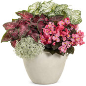 Thumbnail of Patio Container: with_all_my_heart.jpg