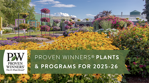 Spring 2026 New Annuals