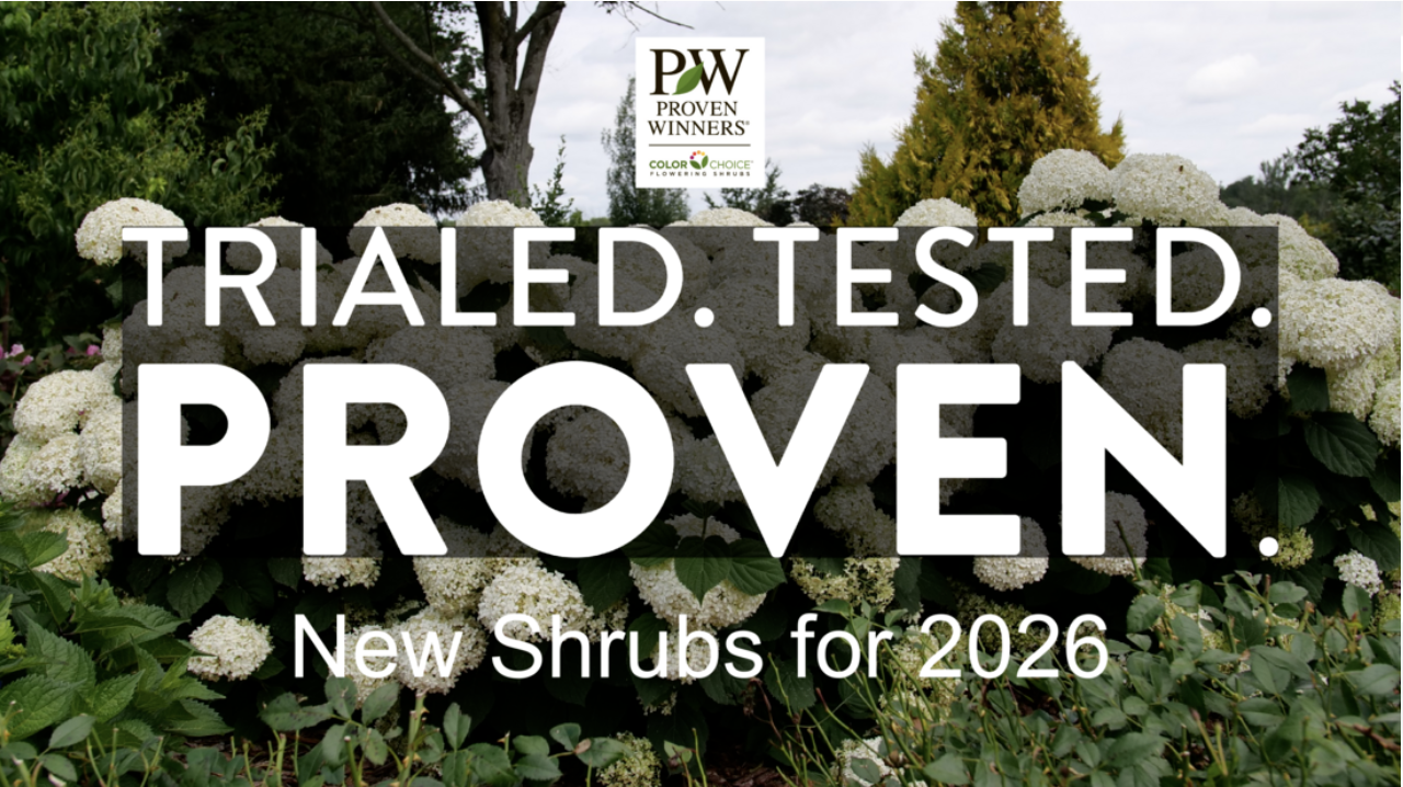 Spring 2026 New Shrubs