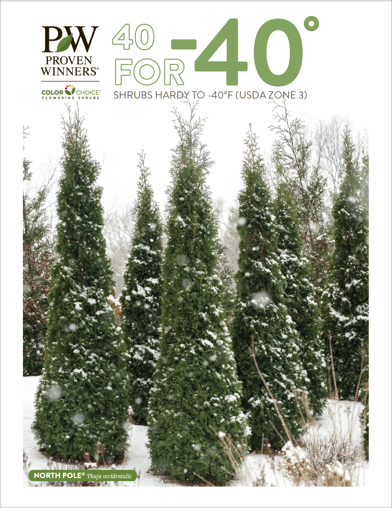 Digital retail guide for the leafjoy indoor plant collection 2