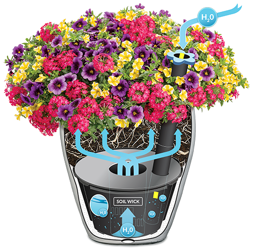 aquapots_starter