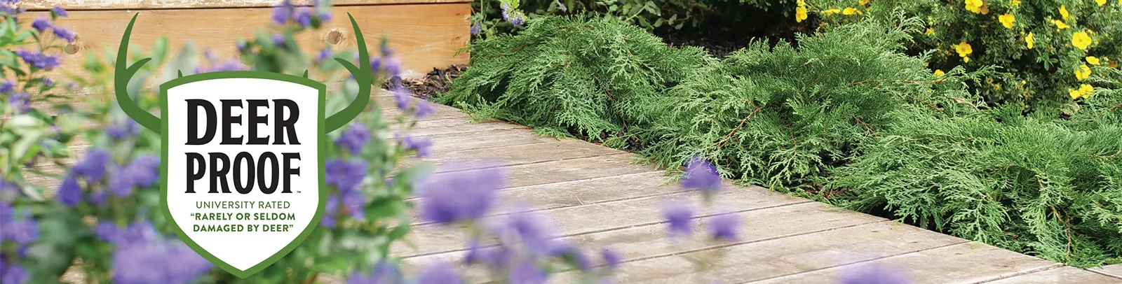 deer proof landscaping