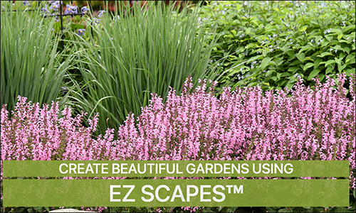 EZ Scapes<sup>™</sup>