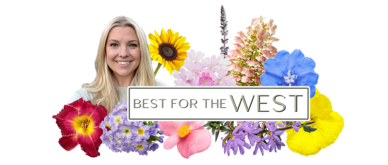 best of the west