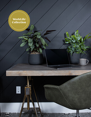 worklife collection