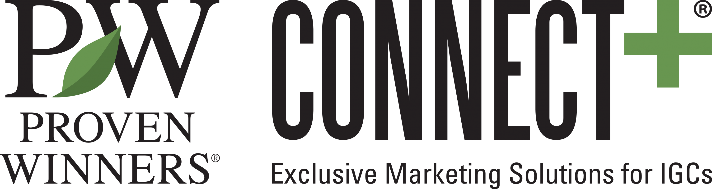 pw_connect_logo