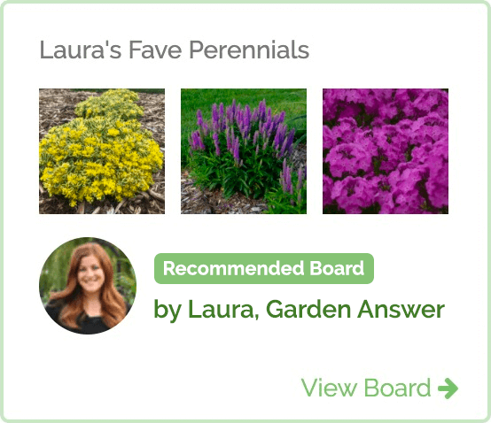 Laura's Fave Perennials Idea Board