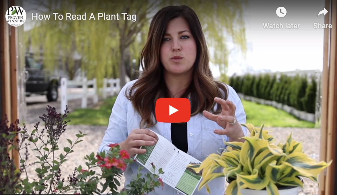understanding plant tags video