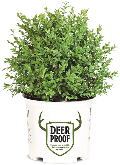 Deer Proof<sup>™</sup>