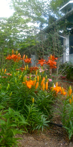 NW Washington, D.C. Home