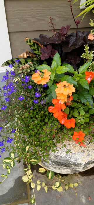 Planters & Pots